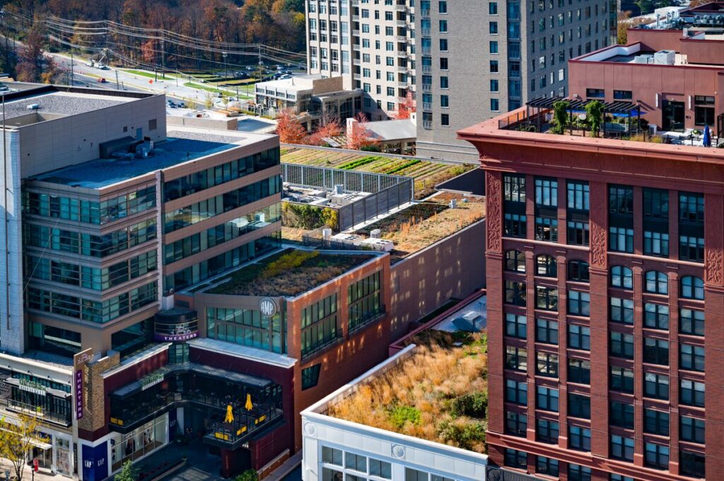 Aerial view of city buildings with green roofs, featuring grass and plants. Some rooftops have seating areas. Streets, cars, and trees with autumn foliage are visible in the background.